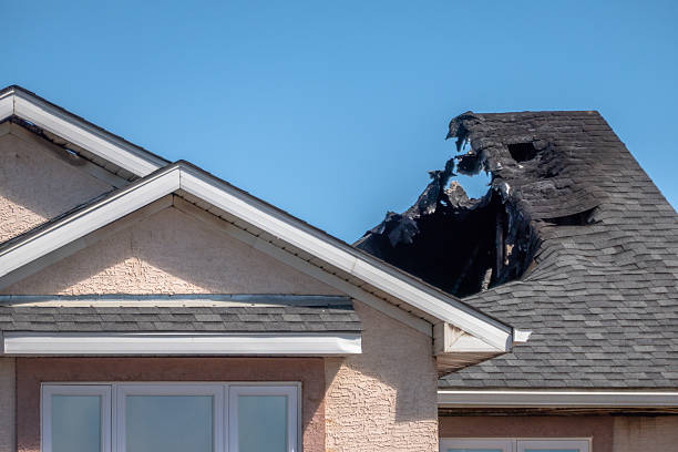 Licensed Fire Damage Removal service in Norwood Young America, MN - Fire Damage Biloxi